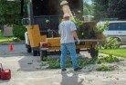 Dittmertree-cutting-services-13.jpg; ?>